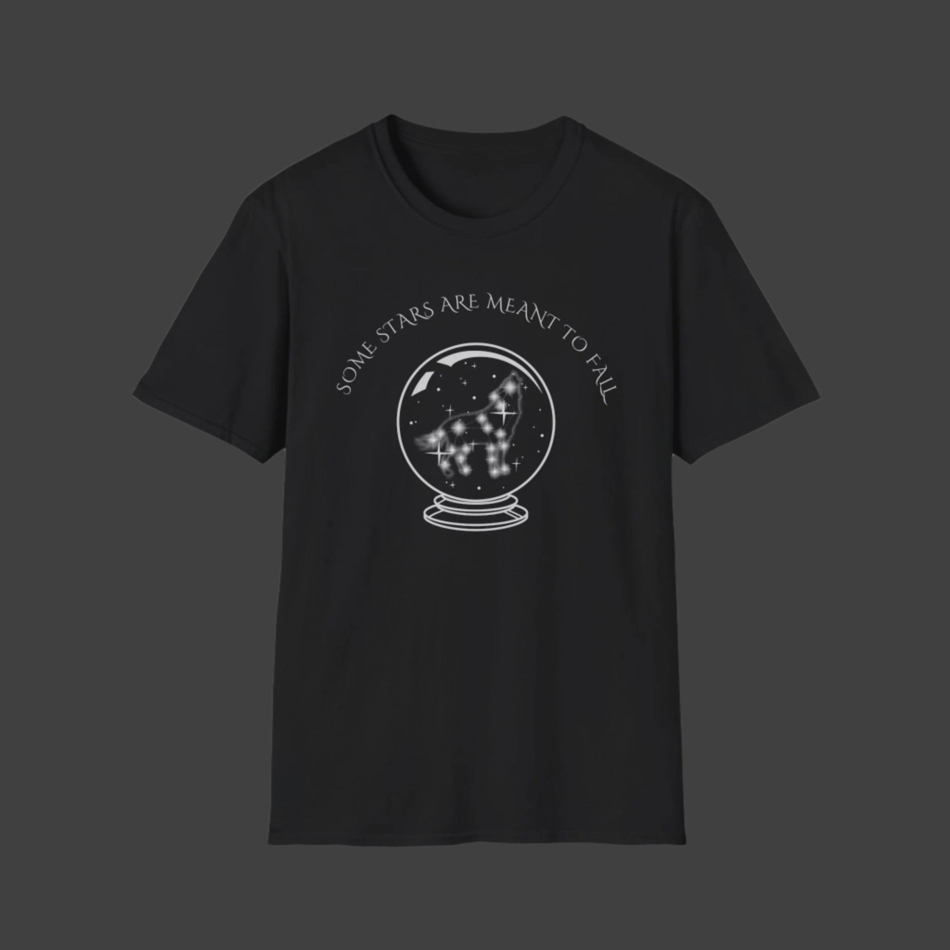 Some stars are meant to fall T-Shirt